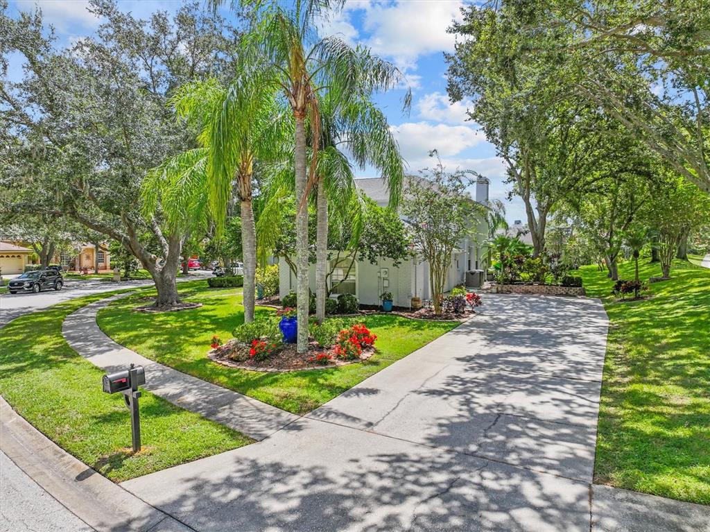 2328 WARWICK DRIVE, OLDSMAR, FL — photo 4 of 30