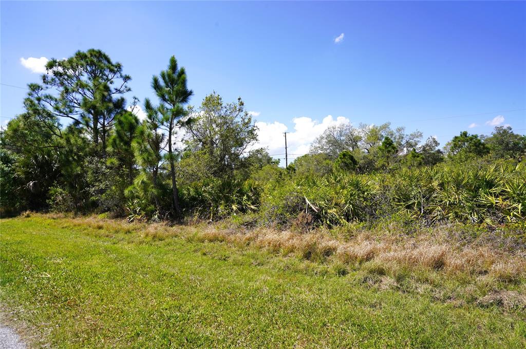 A grassy field borders a dense area of trees and palmetto bushes under a blue sky — BALBOA TERRACE, NORTH PORT, FL