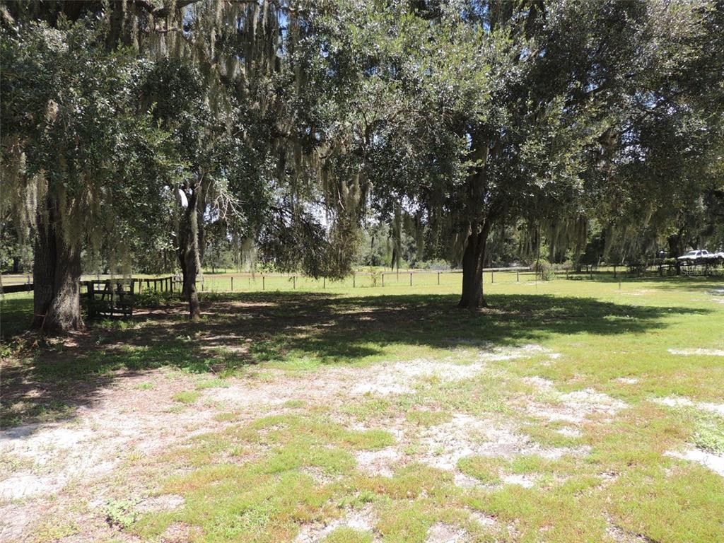 A grassy yard with large oak trees draped in Spanish moss and a wooden fence — 7090 SE 181ST COURT, MORRISTON, FL