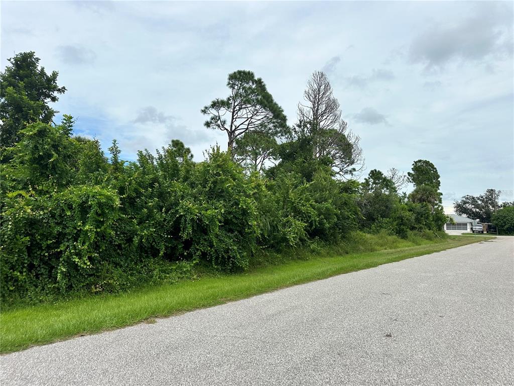 A vacant, overgrown lot sits beside a paved residential street under a cloudy sky — 11120 CORRIGAN AVENUE, ENGLEWOOD, FL