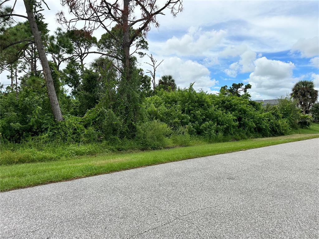 A vacant, overgrown residential lot with trees and shrubs borders an asphalt road — 11120 CORRIGAN AVENUE, ENGLEWOOD, FL