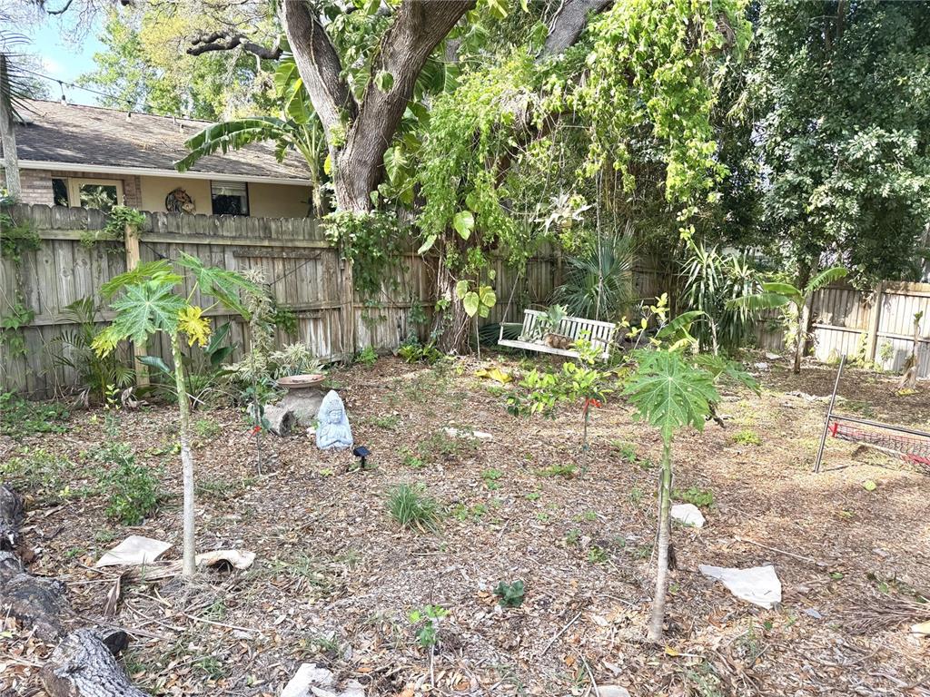 A backyard features a wooden fence, a white swing, two papaya trees, and mulch — 2098 BRENT PLACE, PALM HARBOR, FL