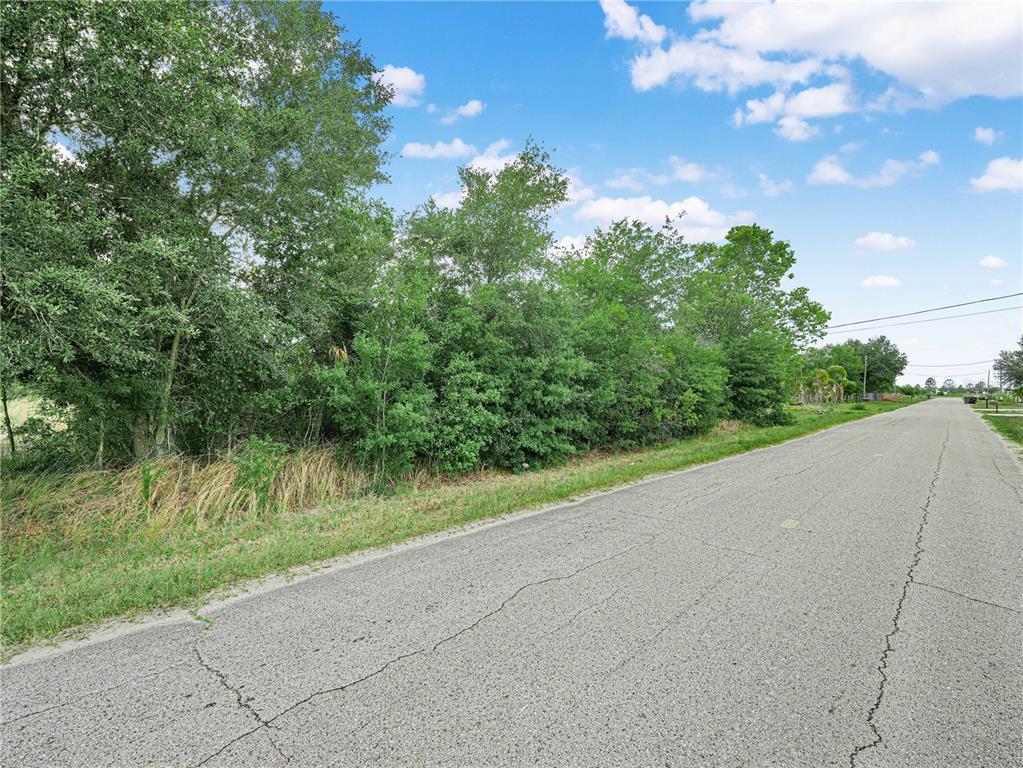 A paved road runs alongside a plot of land covered with trees and brush — OAKRIDGE DRIVE, FROSTPROOF, FL