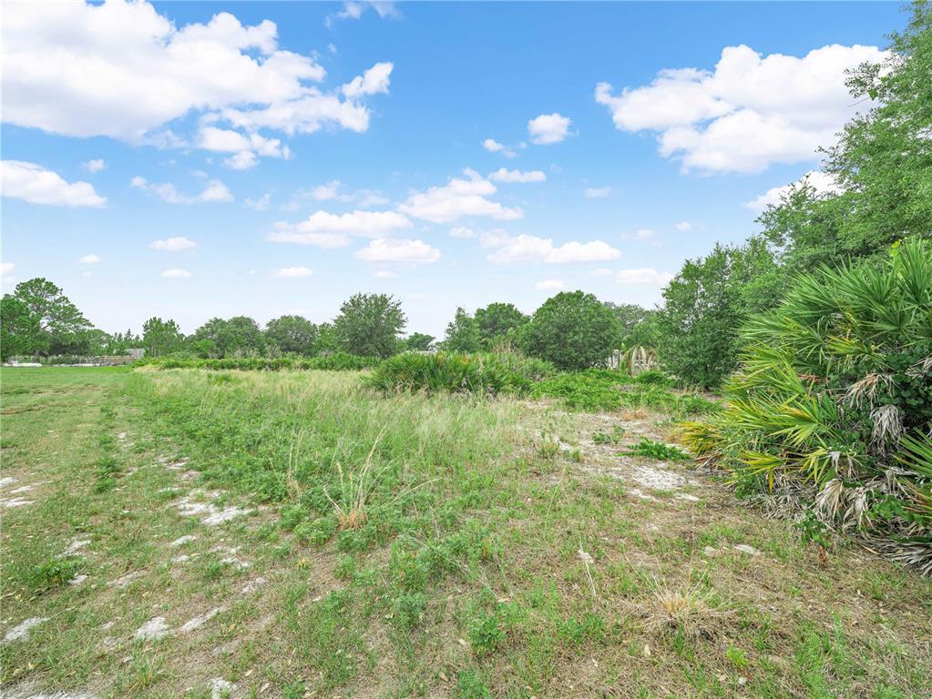 A grassy, undeveloped lot features scattered shrubs, palmettos, and trees under a blue sky — OAKRIDGE DRIVE, FROSTPROOF, FL