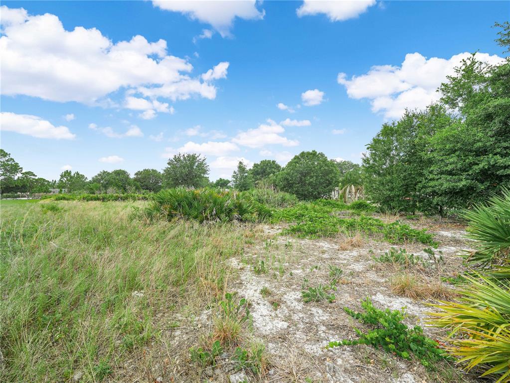 A vacant, grassy lot with sandy patches and scattered trees under a blue sky — OAKRIDGE DRIVE, FROSTPROOF, FL