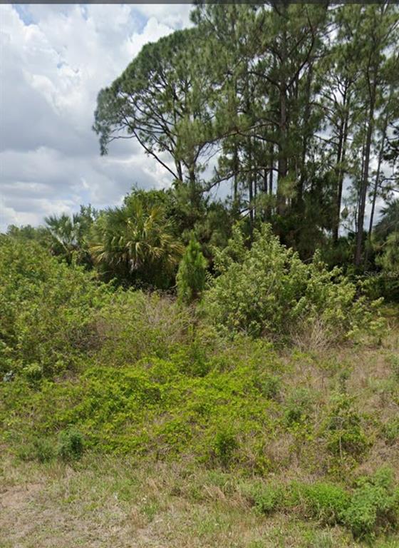 A view of a wooded lot featuring tall pine trees and dense native Florida vegetation — 809 GERALD AVENUE, LEHIGH ACRES, FL