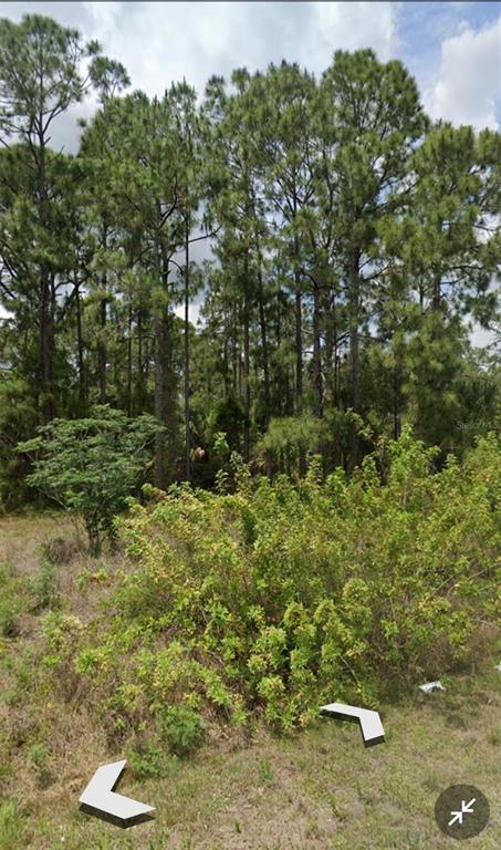 A wooded lot with tall pine trees and low-lying shrubs under a cloudy sky — 809 GERALD AVENUE, LEHIGH ACRES, FL