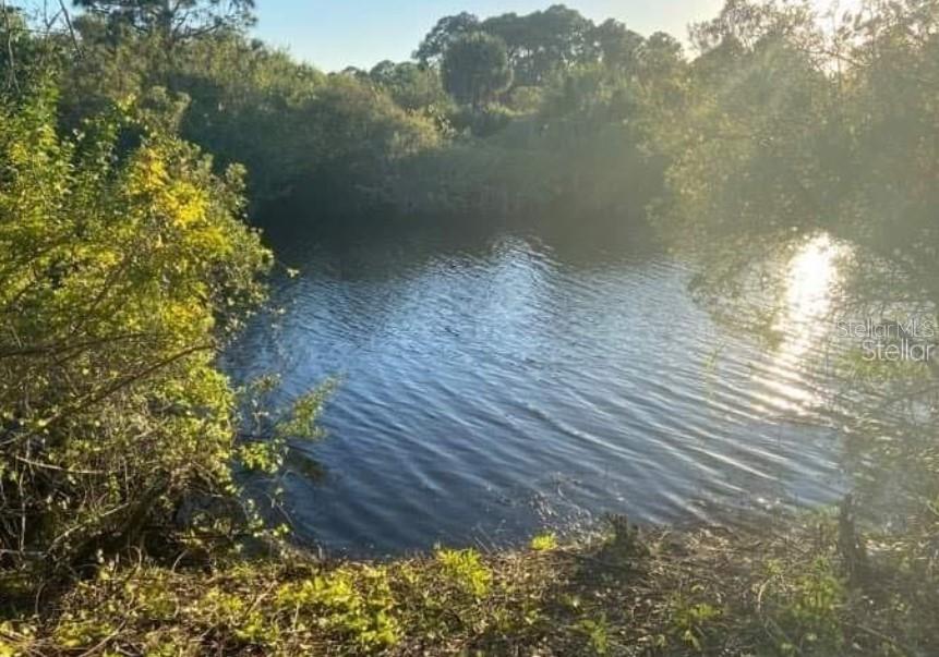 A view of a small pond surrounded by trees and vegetation under a bright sky — 2403 CHAPEL DRIVE, PORT CHARLOTTE, FL
