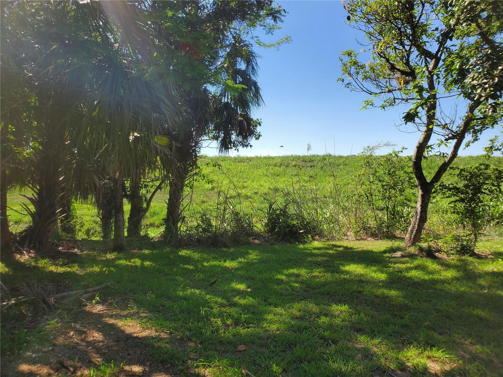 A grassy yard with trees and shrubs leads to a sloped, grassy embankment under a sky — 1697 E Main St, Pahokee FL 33476, PAHOKEE, FL