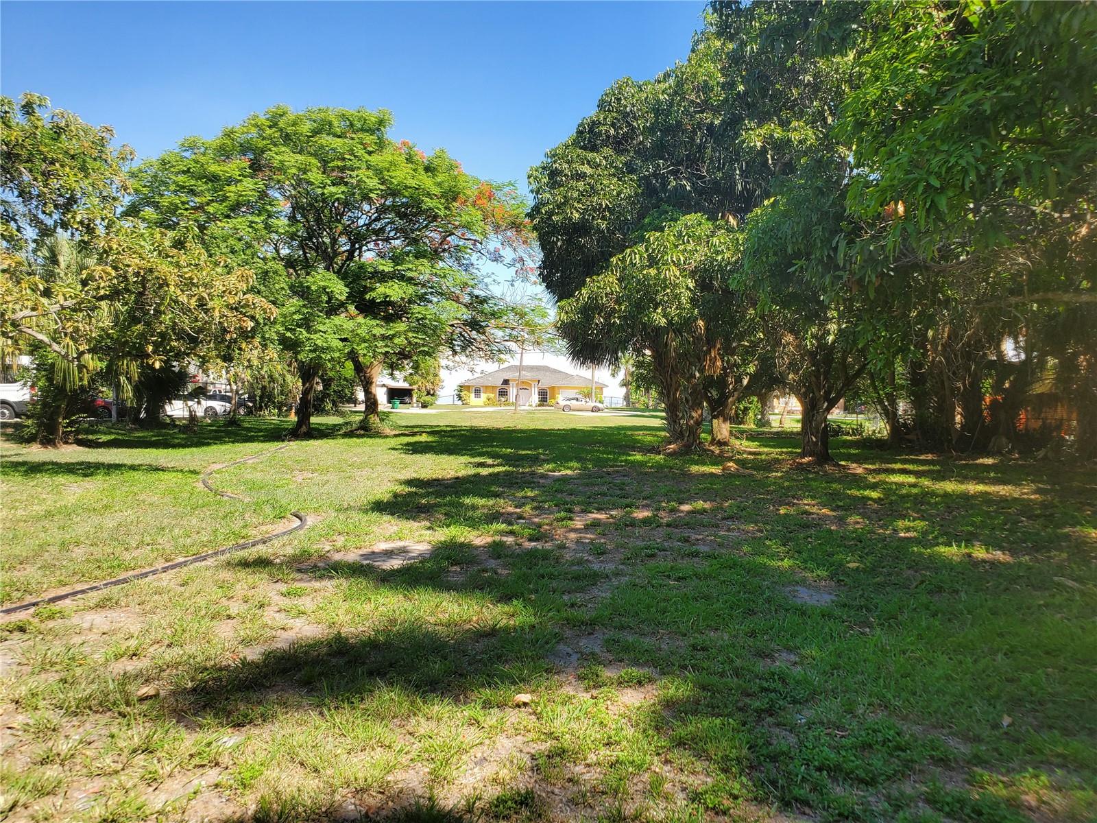 A large, grassy yard with mature trees leads toward a yellow house in the distance — 1697 E Main St, Pahokee FL 33476, PAHOKEE, FL