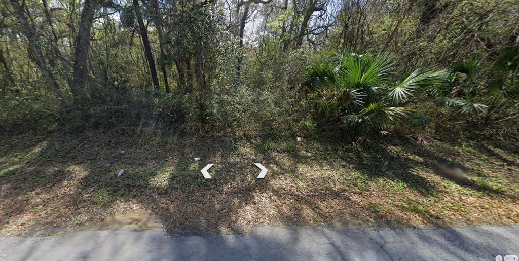 A view of a wooded, undeveloped plot of land from the edge of a paved road — 6376 E SENECA STREET, INVERNESS, FL