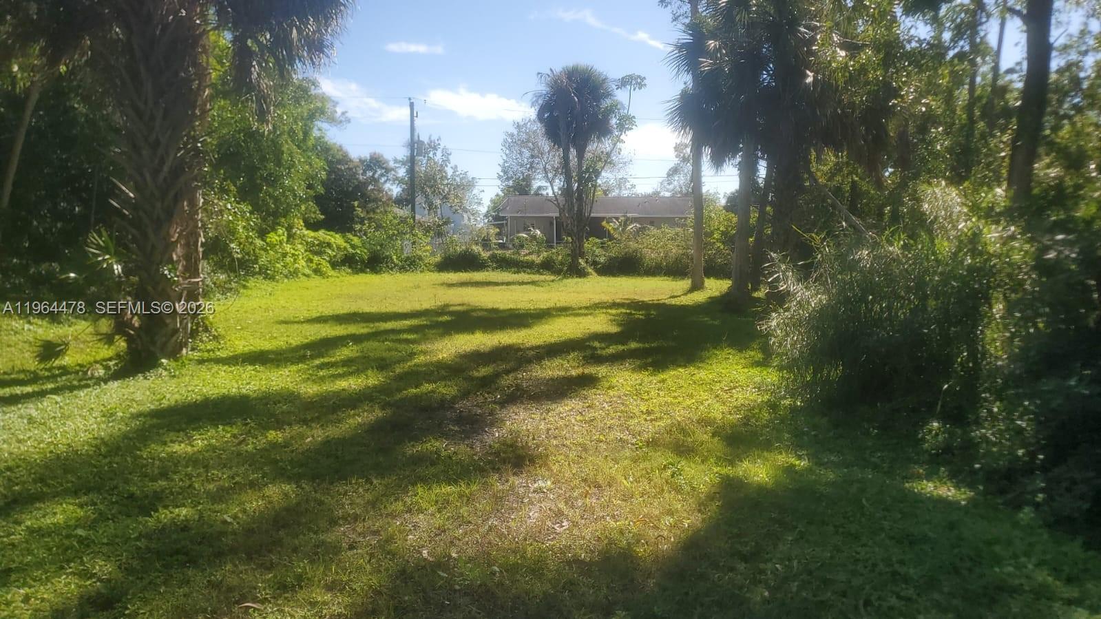A grassy, sunlit vacant lot is framed by tall palm trees and dense surrounding vegetation — 3050 Pine Tree Dr, Naples FL 34112, NAPLES, FL