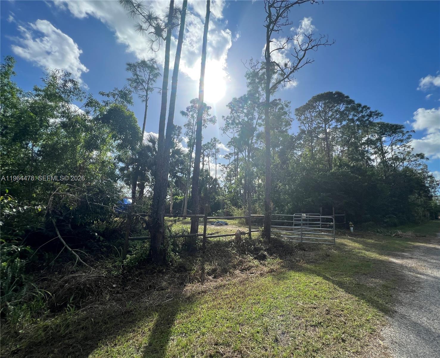 A metal gate provides access to a wooded lot with a wooden fence — 3050 Pine Tree Dr, Naples FL 34112, NAPLES, FL