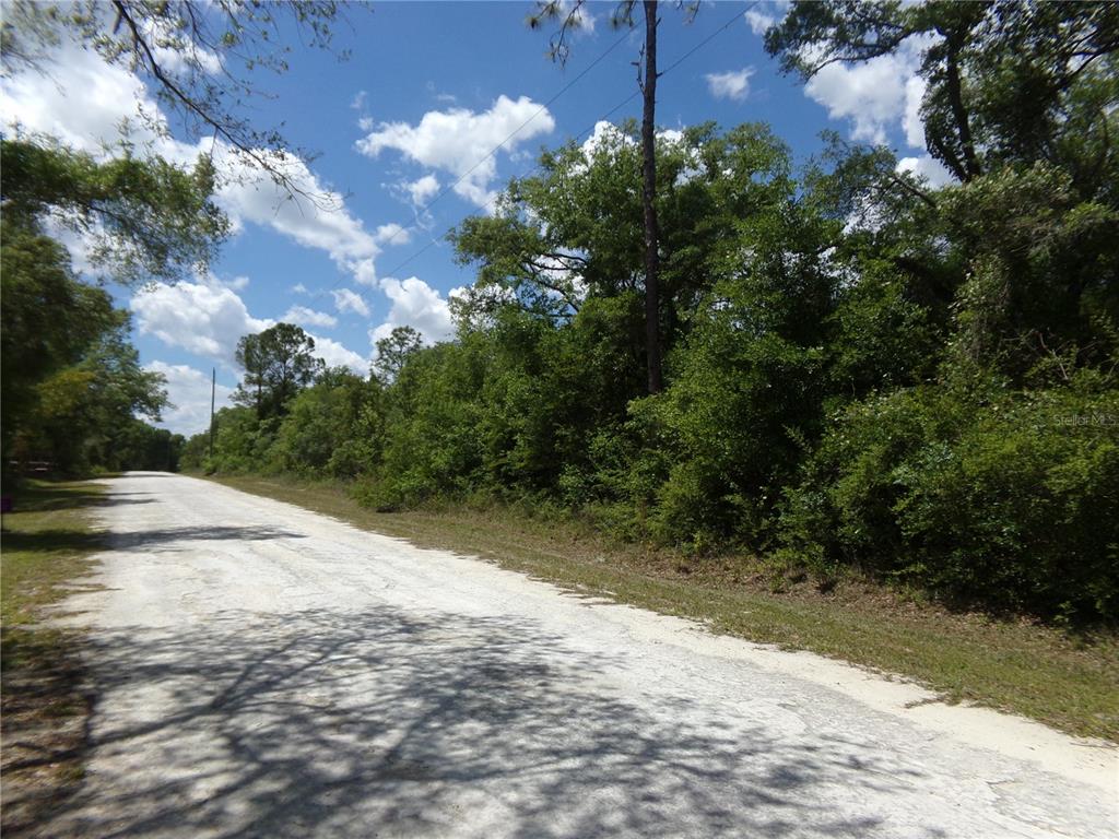 A dirt road runs alongside a dense, wooded area under a bright, cloudy sky — KNOXVILLE DRIVE, WEBSTER, FL