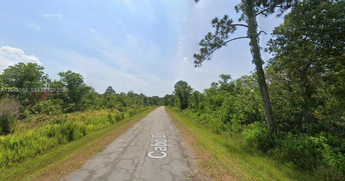 A narrow paved road stretches through a wooded area under a partly cloudy sky — 7905 Cabo Dr, Sebring FL 33872, SEBRING, FL