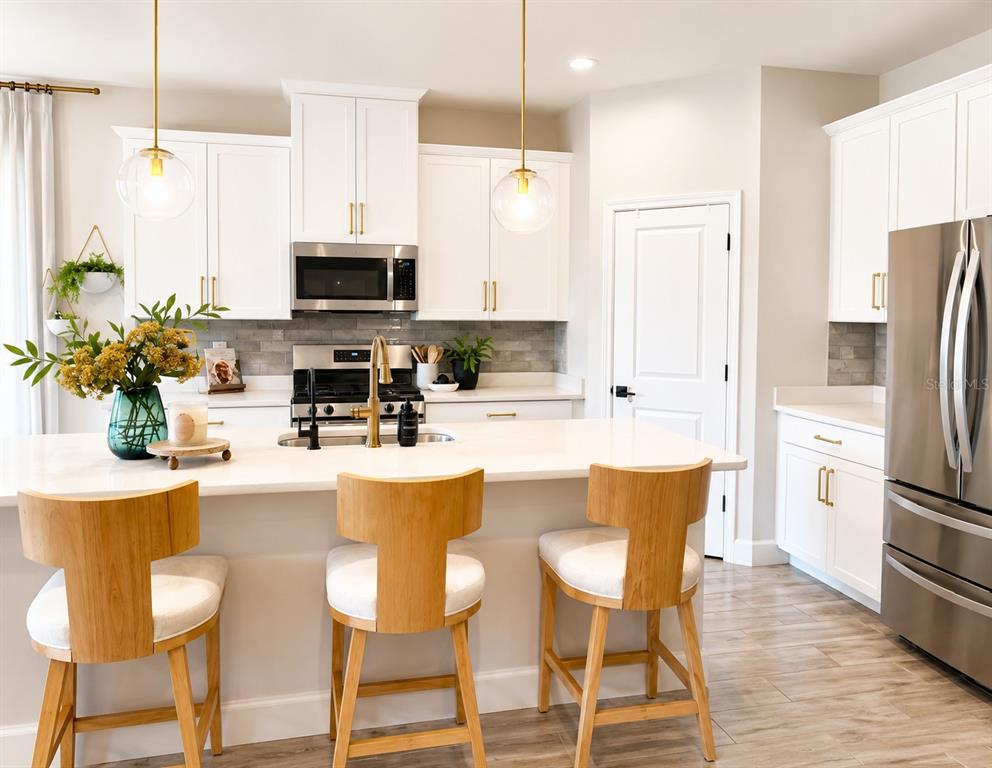 The exterior of a house features a garage, a covered entryway, and a front garden — 2419 PORTICO STREET, ODESSA, FL