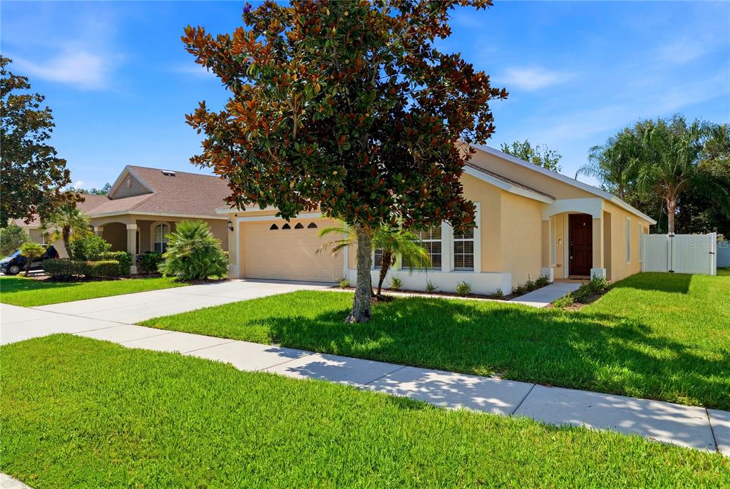 A single-story house with a tan exterior, a two-car garage, and a large front tree — 19406 SUNSET BAY DRIVE, LAND O LAKES, FL