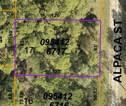 LOT 17 ALPACA STREET