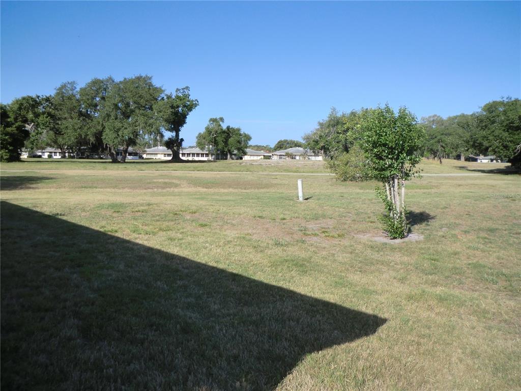 A grassy backyard view features a small tree, a utility post, and distant houses — 1902 ANDOVER STREET UNIT 203, SUN CITY CENTER, FL