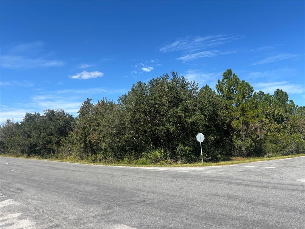 A paved road intersection sits in front of a dense, wooded lot with a stop sign — CORONET AVENUE, ORLANDO, FL