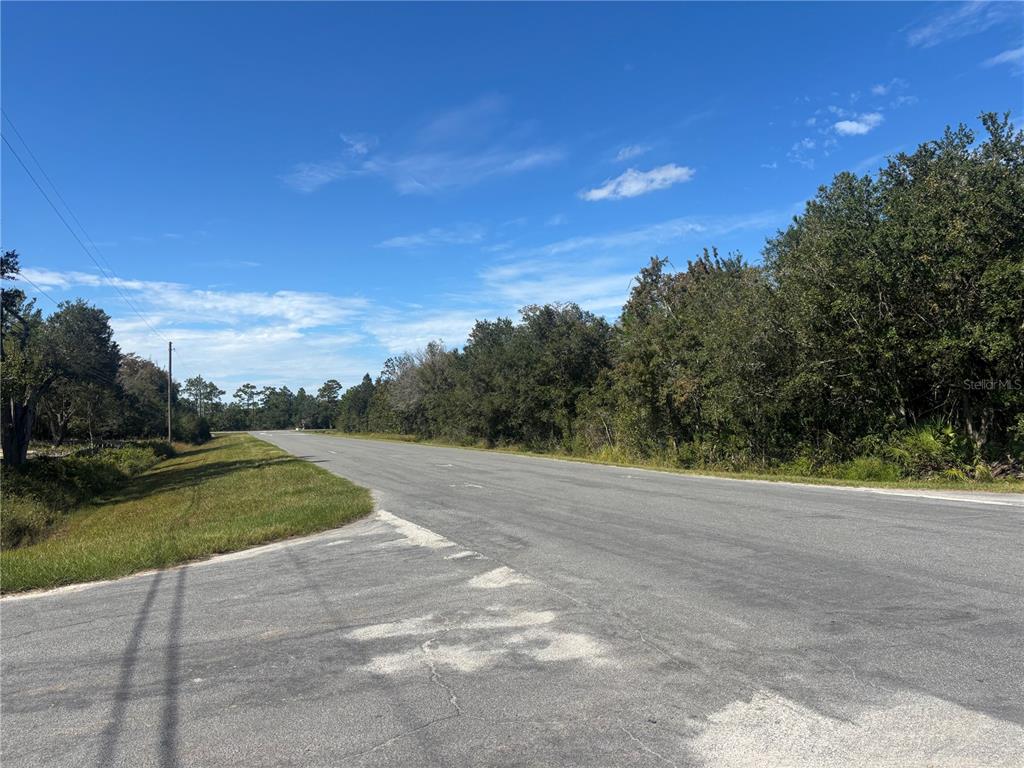 A paved road stretches into the distance past a grassy shoulder and dense trees — CORONET AVENUE, ORLANDO, FL