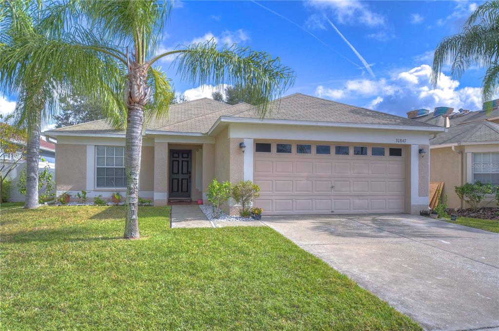 A single-story house with a beige stucco exterior, a two-car garage, and a palm tree — 30847 BRIDGEGATE DRIVE, WESLEY CHAPEL, FL