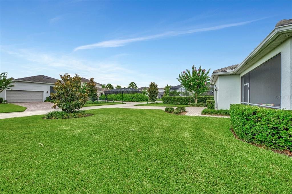 A view of a residential backyard with a green lawn, landscaping, and a screened patio — 11616 GOLDEN BAY PLACE, LAKEWOOD RANCH, FL