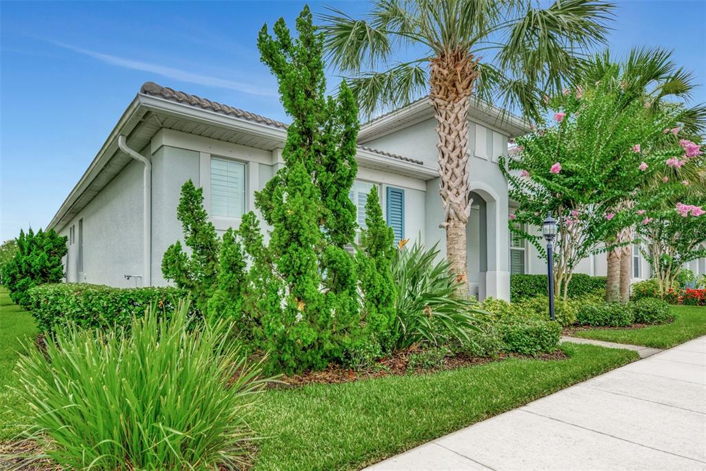 A light-colored house exterior features a palm tree, manicured landscaping, and a concrete sidewalk — 11616 GOLDEN BAY PLACE, LAKEWOOD RANCH, FL