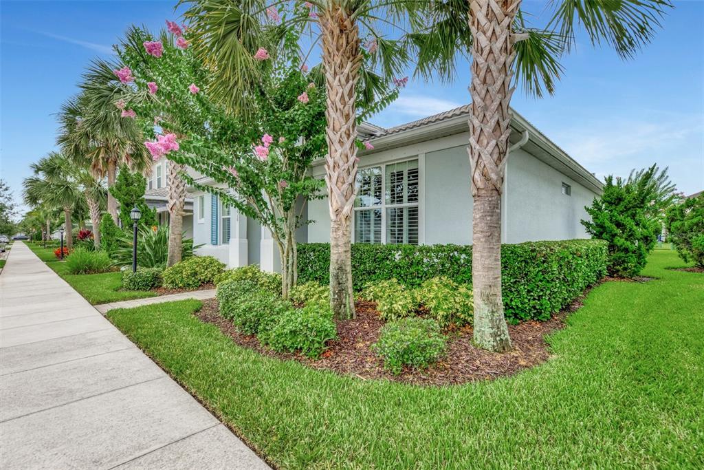 A light-colored house exterior features palm trees, a manicured hedge, and a concrete sidewalk — 11616 GOLDEN BAY PLACE, LAKEWOOD RANCH, FL