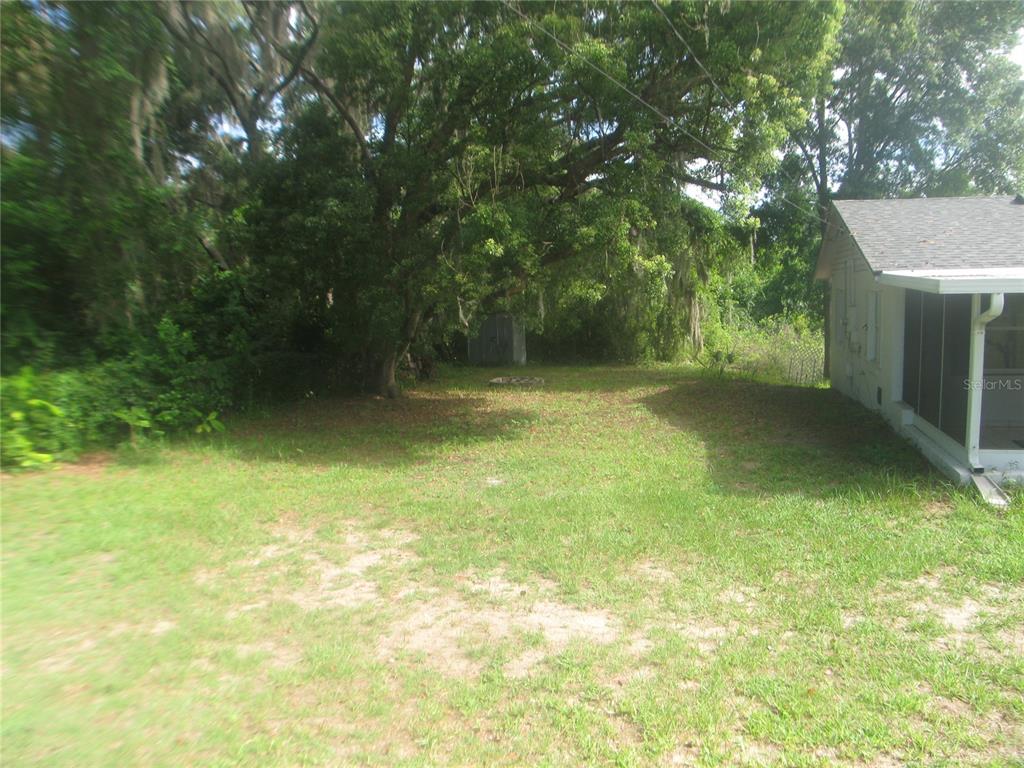 A grassy backyard features a large tree, a small shed, and a house exterior — 4847 EAGLES NEST ROAD, FRUITLAND PARK, FL