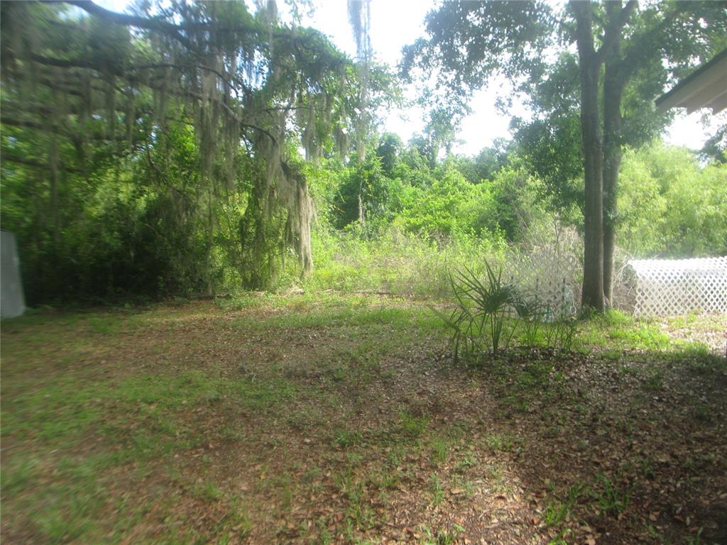 A backyard area features a grassy lawn, mature trees with Spanish moss, and dense foliage — 4847 EAGLES NEST ROAD, FRUITLAND PARK, FL