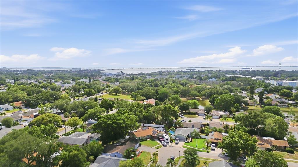 An aerial view shows a suburban neighborhood with houses, trees, and a distant body of water — 391 WALNUT COURT, PALM HARBOR, FL