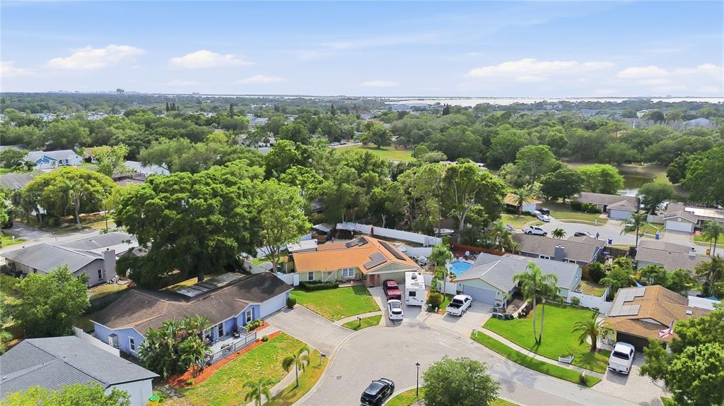 An aerial view of a suburban cul-de-sac with several single-family homes and lush green trees — 391 WALNUT COURT, PALM HARBOR, FL