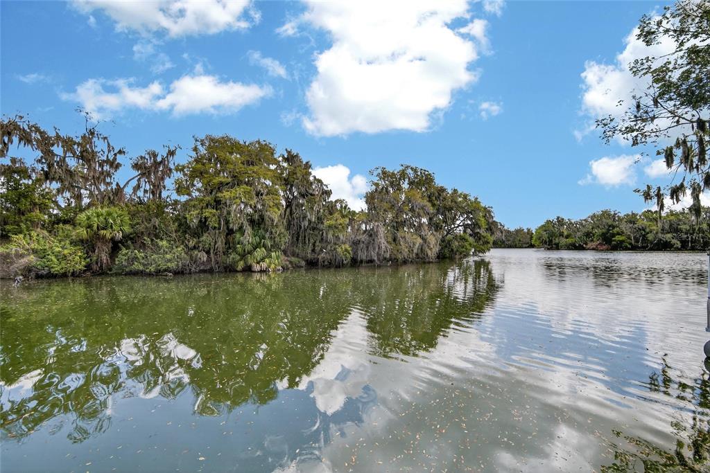 A view of a calm, green-tinted lake surrounded by trees draped in Spanish moss — 6870 SHIMMERING DRIVE, LAKELAND, FL