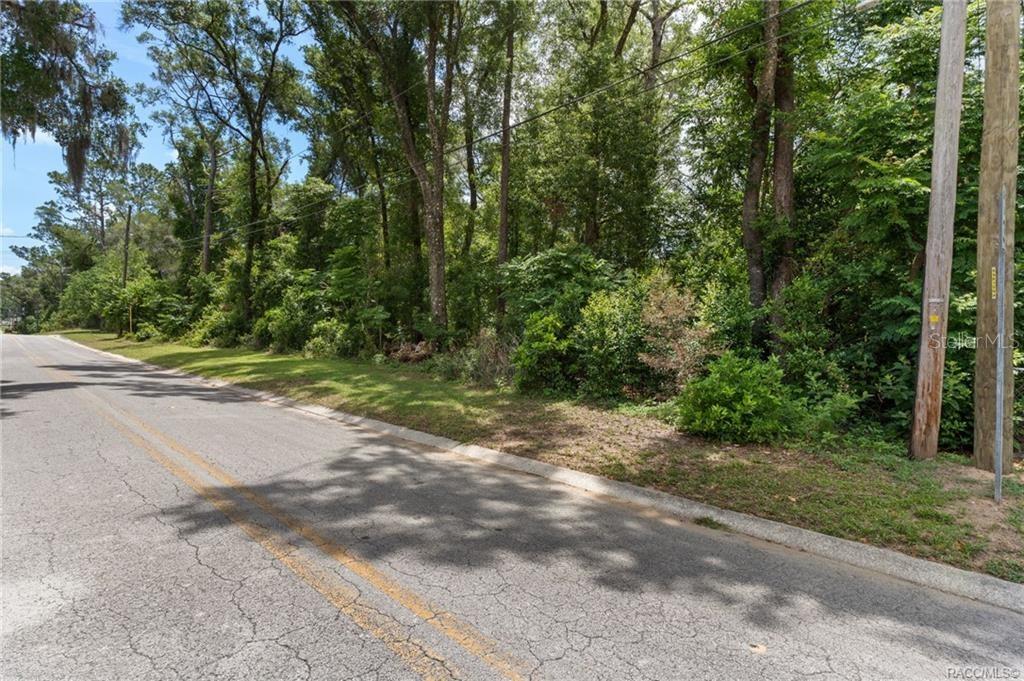 A paved road runs alongside a wooded, undeveloped lot with utility poles — 5942 E BANNER LANE, INVERNESS, FL