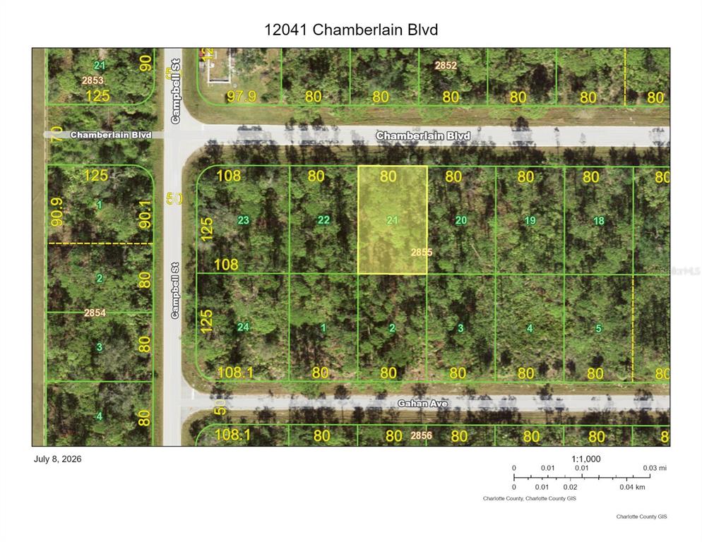 This is a property map showing residential lot boundaries and dimensions in a wooded area — 12041 CHAMBERLAIN BOULEVARD, PORT CHARLOTTE, FL