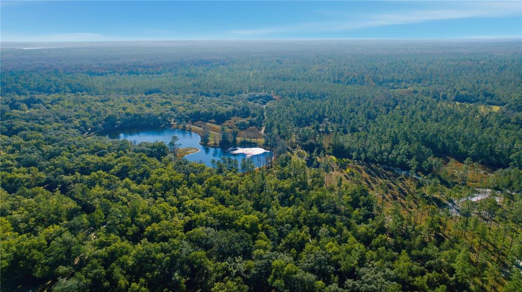 An aerial view shows a small lake surrounded by dense forest and cleared land — TBD (Lot 3) NE 115TH LANE ROAD, FORT MC COY, FL
