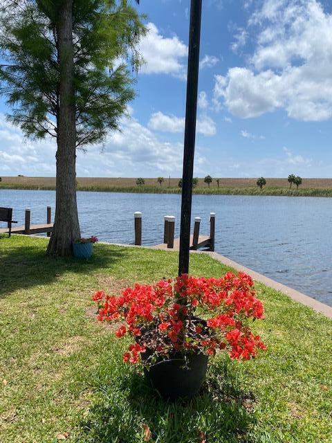 A potted bougainvillea sits on a grassy lawn near a wooden dock by the water — 8680 Us Highway 441, Okeechobee FL 34974, OKEECHOBEE, FL