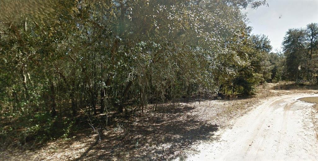 202 CEDAR TRAIL, INTERLACHEN, FL — photo 2 of 4