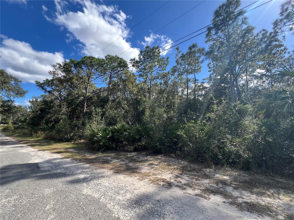 A wooded, undeveloped lot sits beside a paved road under a bright, partly cloudy sky — 5650 W KETTLE LANE, CRYSTAL RIVER, FL