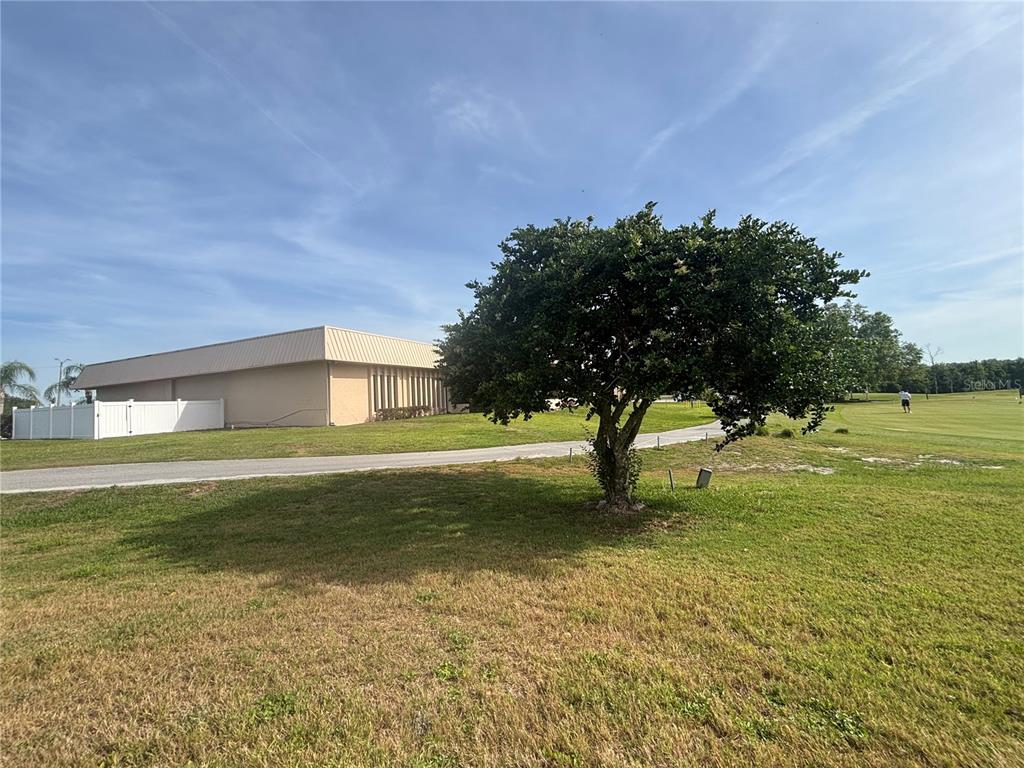 A large tree stands in a grassy yard next to a paved path and building — 3963 PARWAY ROAD UNIT 1325, ZELLWOOD, FL