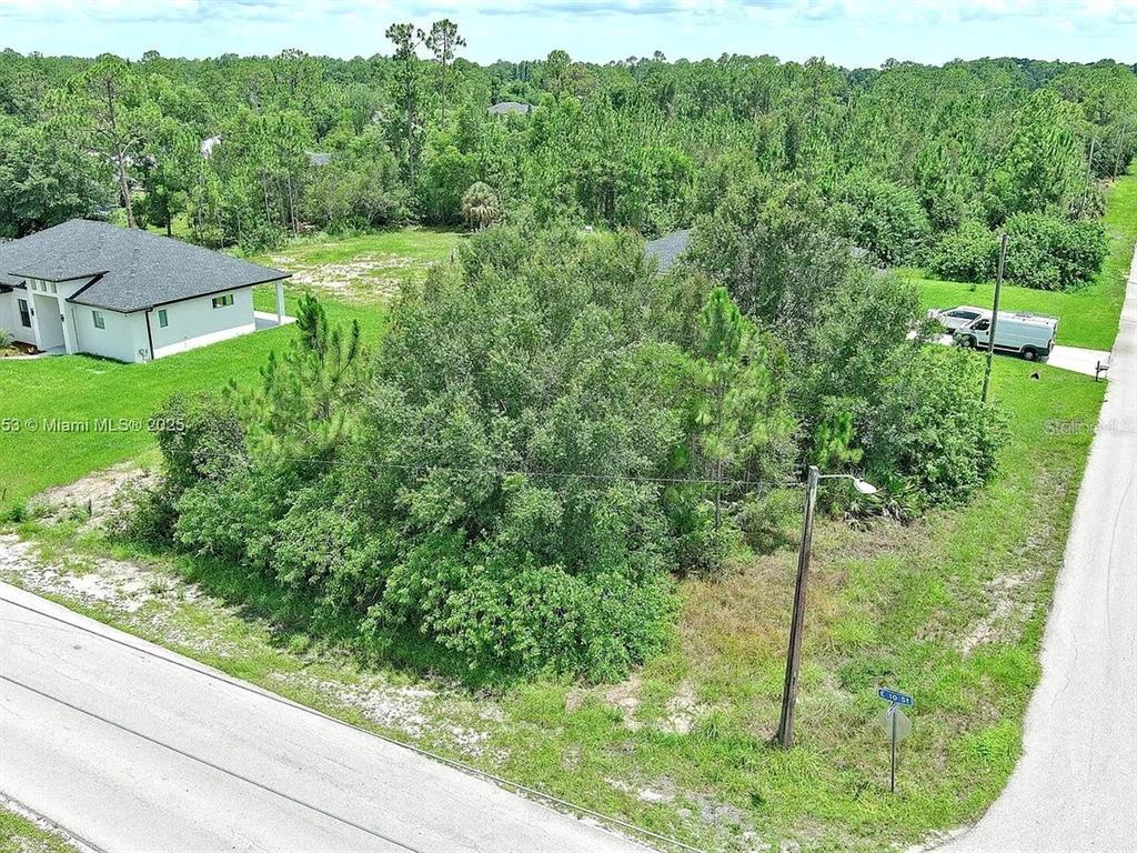 An aerial view of a vacant, tree-covered residential lot next to a house and road — 2500 E 10TH STREET, LEHIGH ACRES, FL