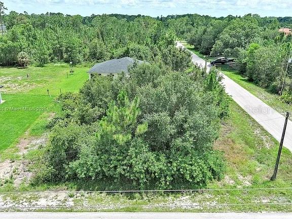 An aerial view shows a wooded, undeveloped lot next to a paved road and house — 2500 E 10TH STREET, LEHIGH ACRES, FL