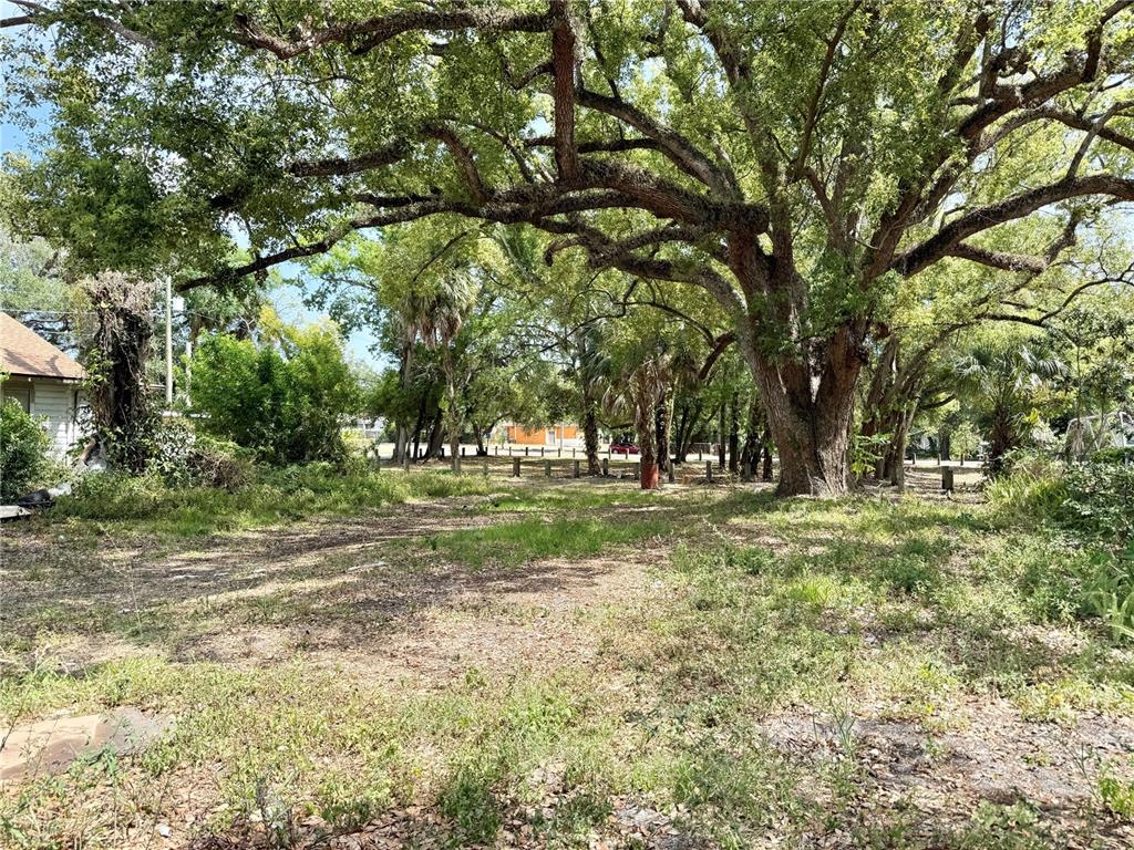 3417 E 11TH AVE, TAMPA, FL — photo 3 of 6