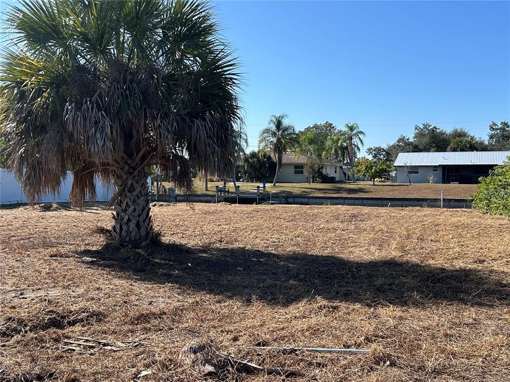 A large palm tree stands on a dry, grassy vacant lot overlooking a canal — 3285 SANTA BARBARA DR, PUNTA GORDA, FL