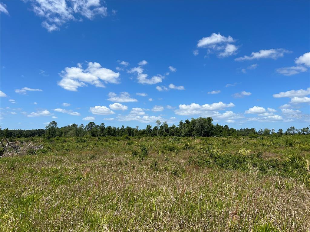 A wide, grassy field stretches toward a dense line of trees under a blue sky — HWY 40, DUNNELLON, FL