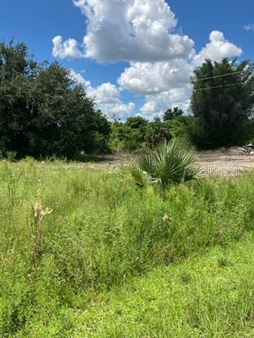 A grassy, overgrown vacant lot with scattered trees and shrubs under a blue sky — 2011 CALLE BONITO, PUNTA GORDA, FL