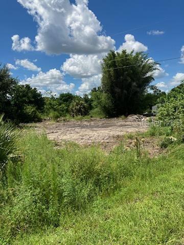 A cleared, vacant lot with tall grass and trees under a bright blue sky — 2011 CALLE BONITO, PUNTA GORDA, FL