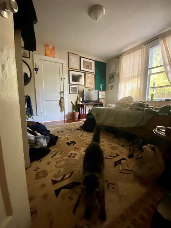 A bedroom features a patterned rug, a bed, a television, and a cat in foreground — 1102 NW 3RD AVENUE, GAINESVILLE, FL