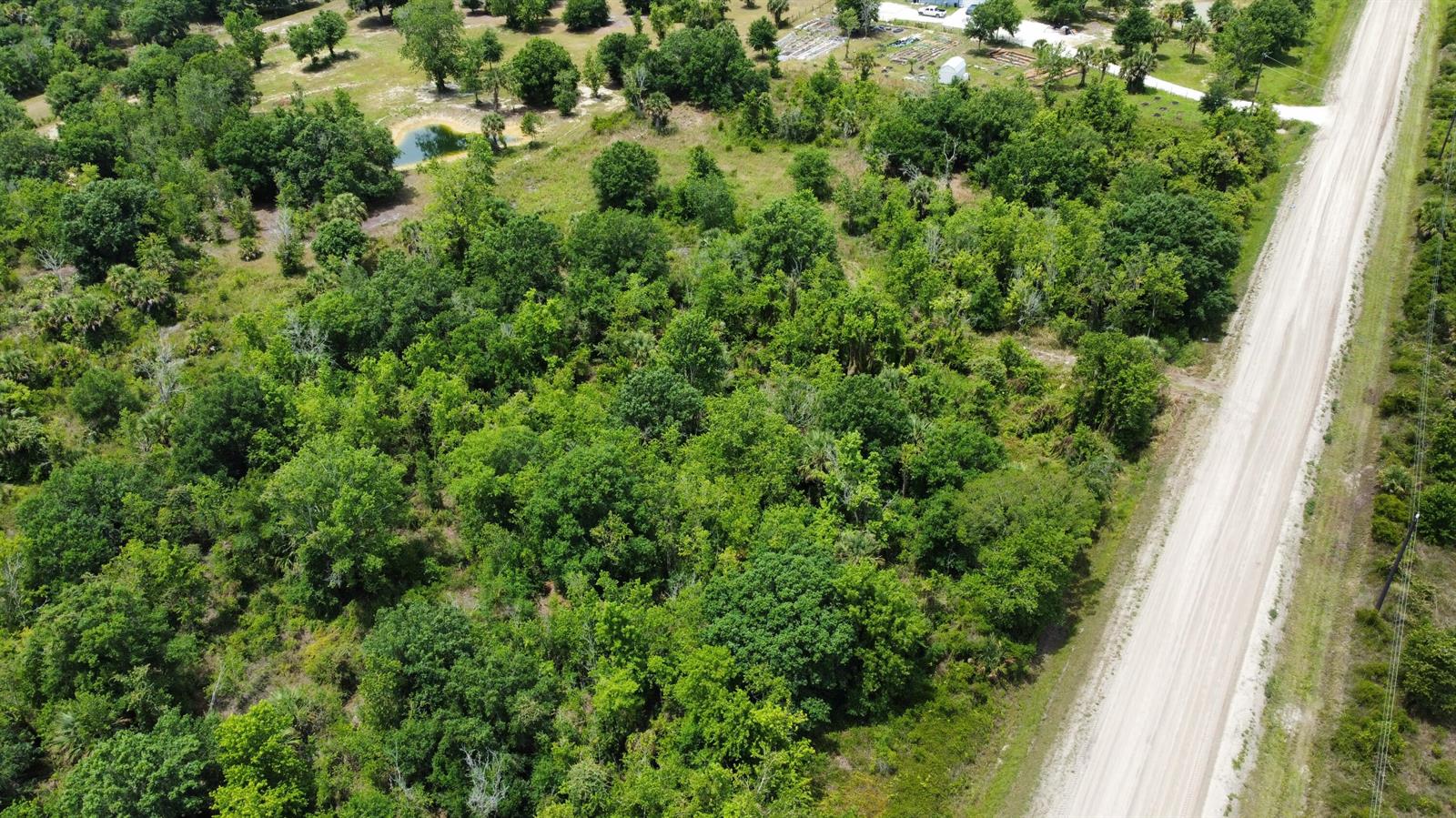 An aerial view shows a dirt road bordering a dense, wooded lot with a small pond — 16436 NW 256th Street, Okeechobee FL 34972, OKEECHOBEE, FL